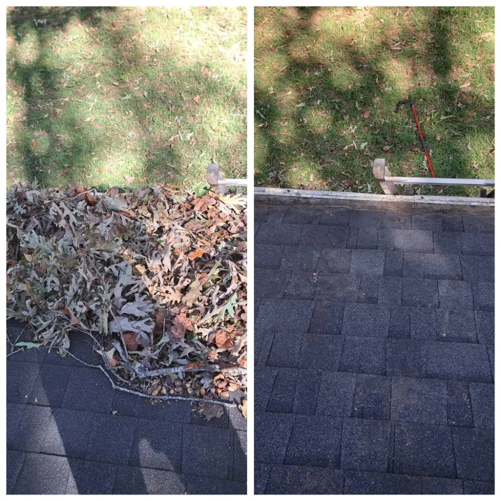 Custom outdoor landscaping for year-round maintenance in Newton, NC by CG Lawn & Gutters