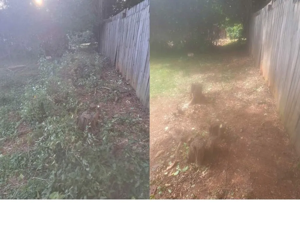 Trusted lawn care service in Newton, NC by CG Lawn & Gutters