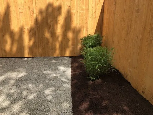 Cg Lawn Care & Maintenance Service Logo