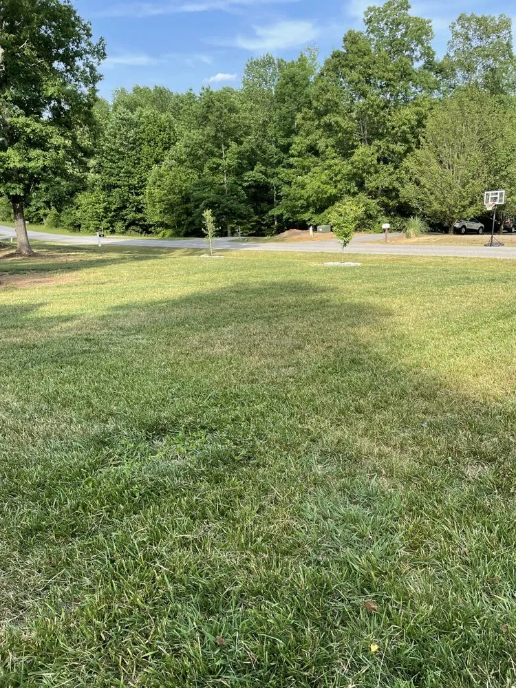 Professional residential landscaping for beautiful yards across Statesville, NC - C&G Lawn Care