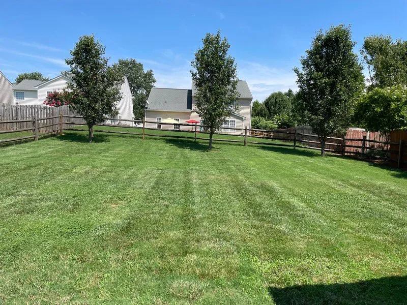 Affordable yard cleanup service in Statesville, NC by C&G Lawn Care