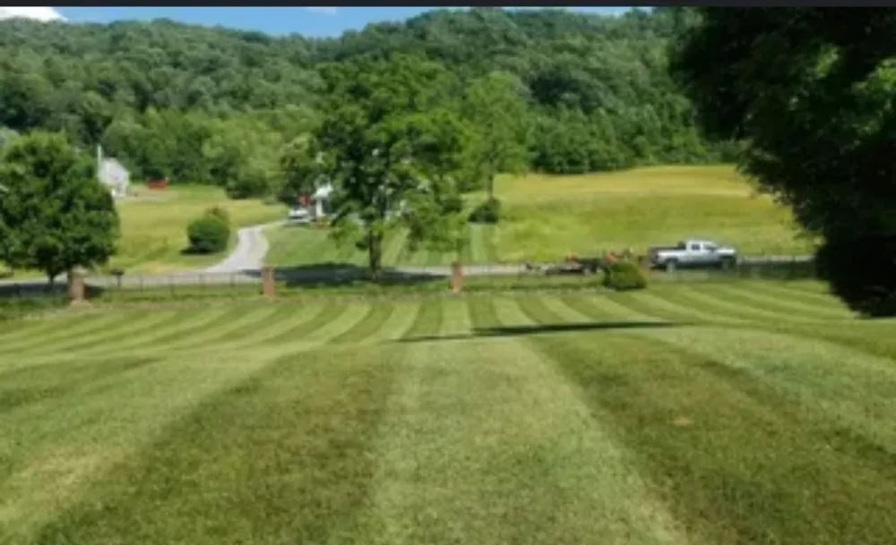 Affordable yard cleanup service in Kingsport, TN by CG Mowing