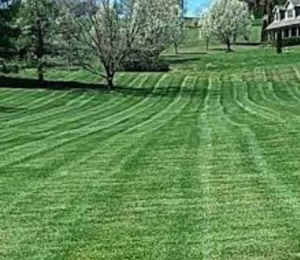 Professional residential landscaping experts serving Kingsport, TN - CG Mowing