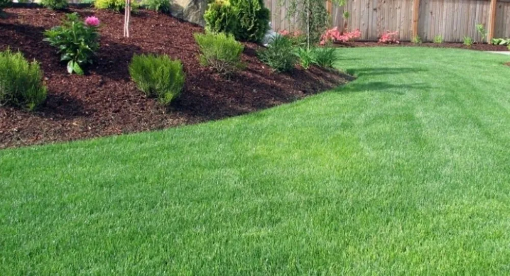 Custom garden landscaping for residential properties across Kingsport, TN - CG Mowing