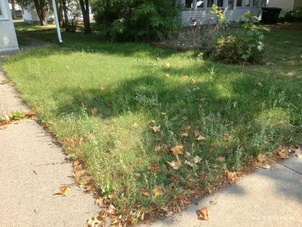 Top-rated lawn care service in Little Falls, MN by CG Mowing