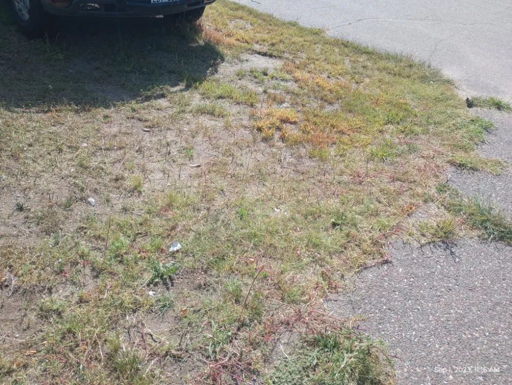 Expert lawn mowing service in Little Falls, MN by CG Mowing