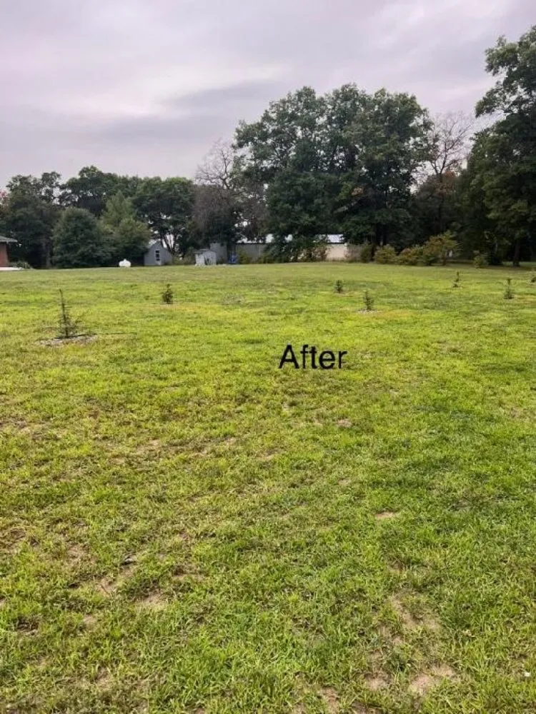 Reliable yard cleanup service experts serving Little Falls, MN - CG Mowing