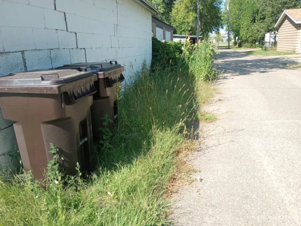 Expert lawn care service experts serving Little Falls, MN - CG Mowing