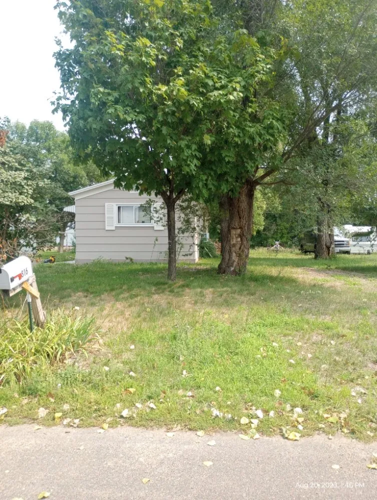 Custom yard cleanup service in Little Falls, MN - CG Mowing