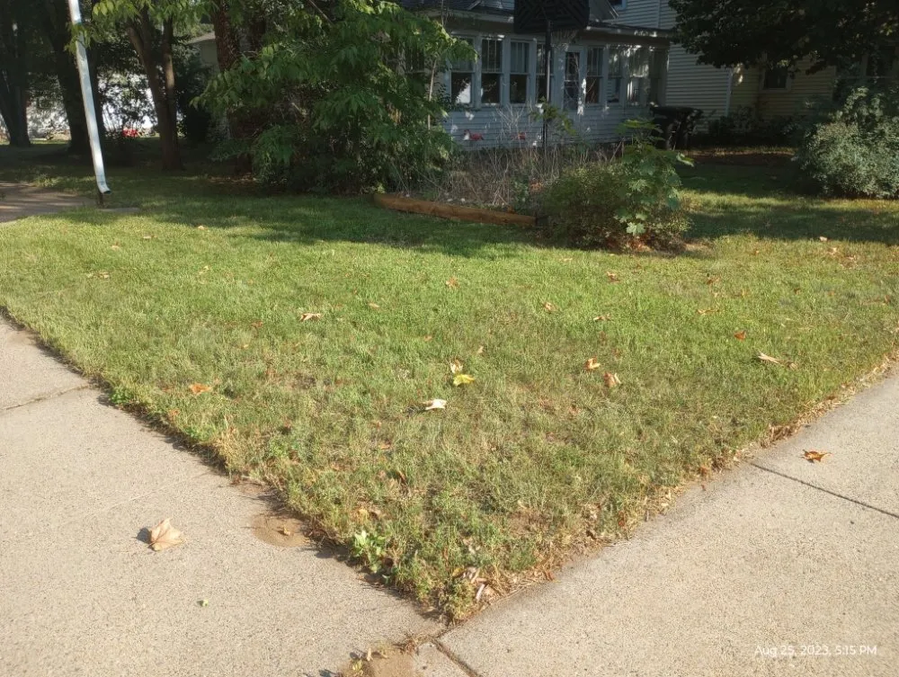 Affordable landscape installation in Little Falls, MN by CG Mowing