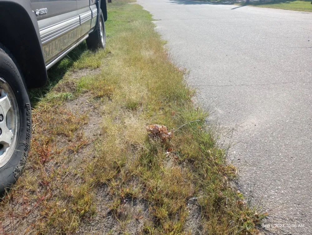 Custom outdoor landscaping in Little Falls, MN by CG Mowing