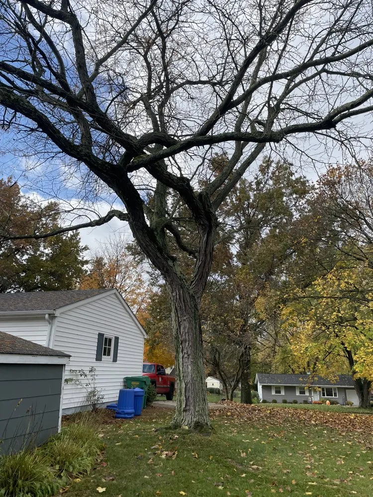 Trusted landscape design experts serving Niles, MI - CG Services Group