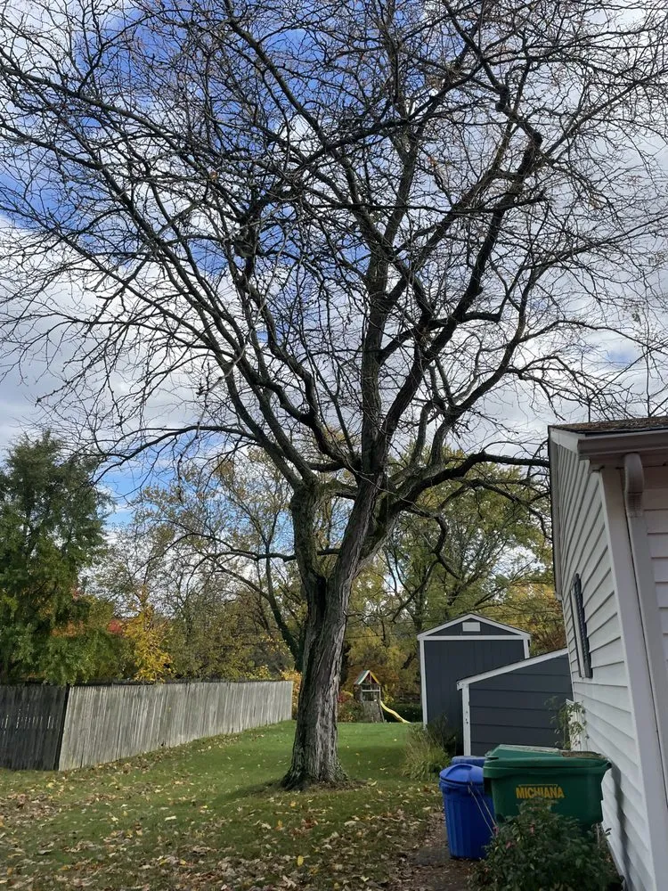 Custom yard maintenance experts serving Niles, MI - CG Services Group