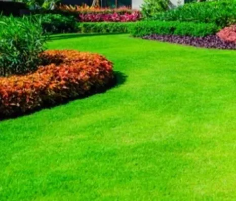 Top-rated landscaping services experts serving Stafford, VA - C&G SOD