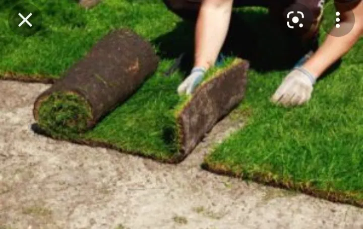 Affordable garden landscaping for beautiful yards in Stafford, VA by C&G SOD