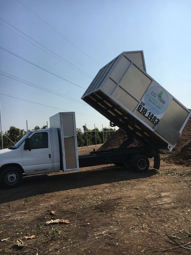 Reliable landscape design in Gardena, CA by CG Tree And Landscape