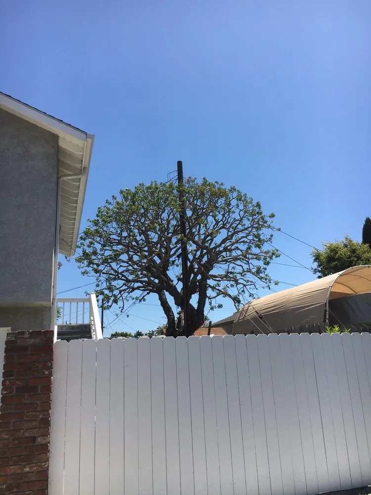 Top-rated outdoor landscaping for homes in Gardena, CA by CG Tree And Landscape