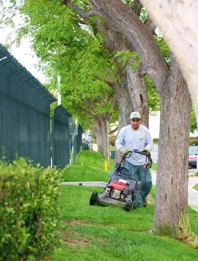 Local residential landscaping for beautiful yards across Gardena, CA - CG Tree And Landscape