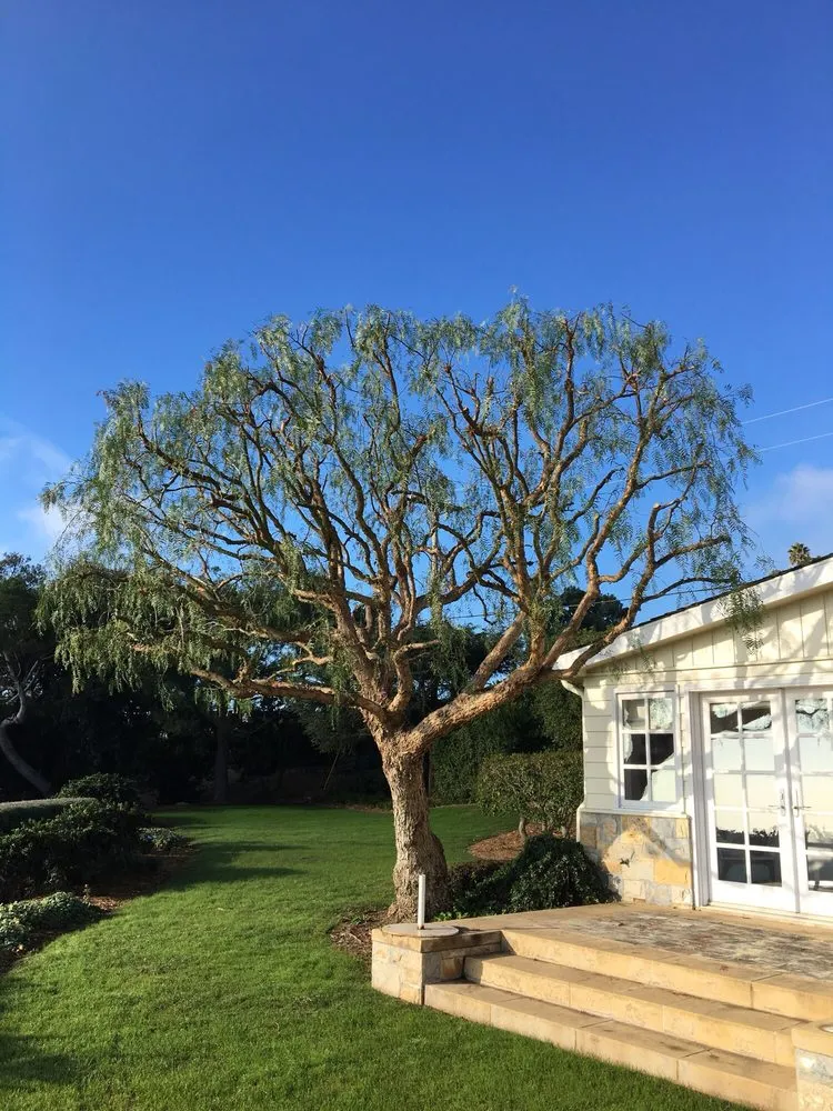 Trusted residential landscaping in Gardena, CA by CG Tree And Landscape