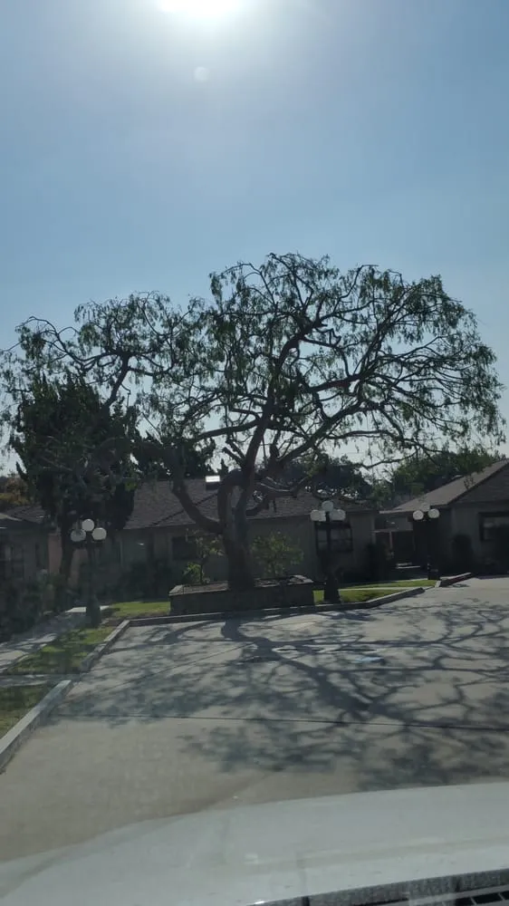 Affordable residential landscaping for year-round maintenance across Gardena, CA - CG Tree And Landscape