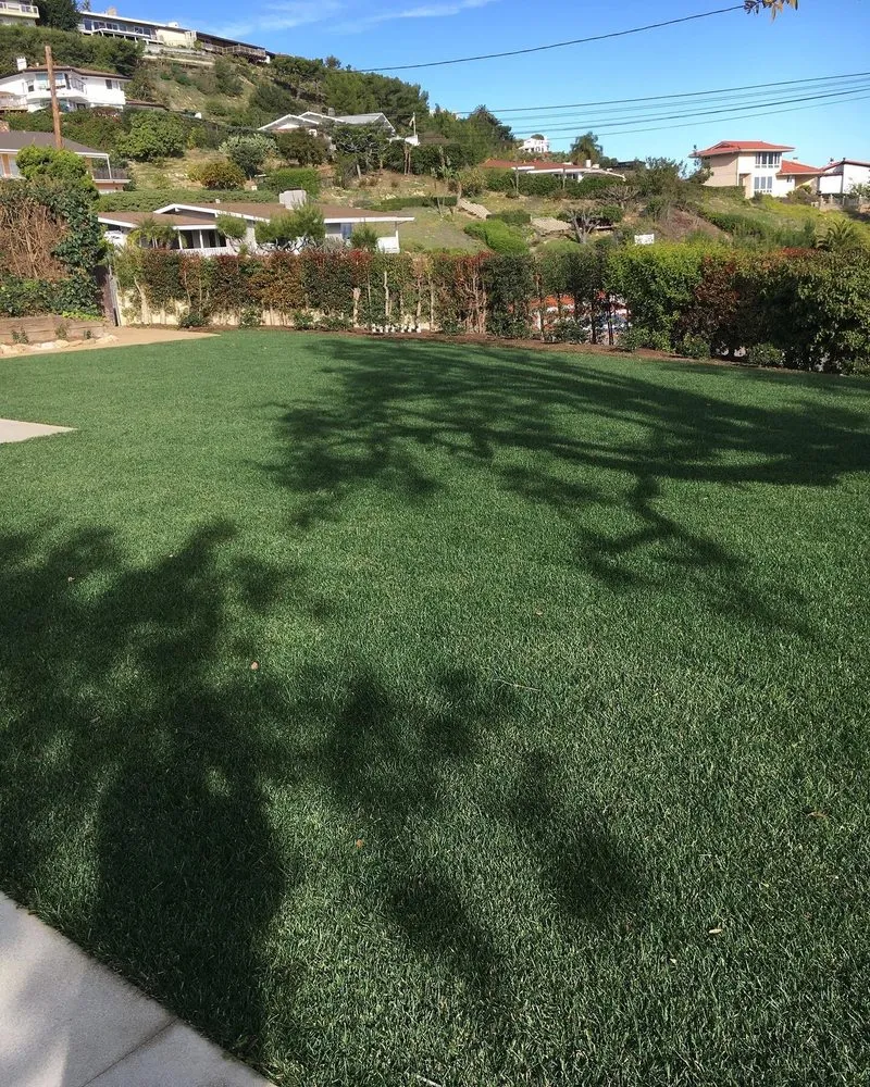 Professional lawn care service with custom design across Gardena, CA - CG Tree And Landscape