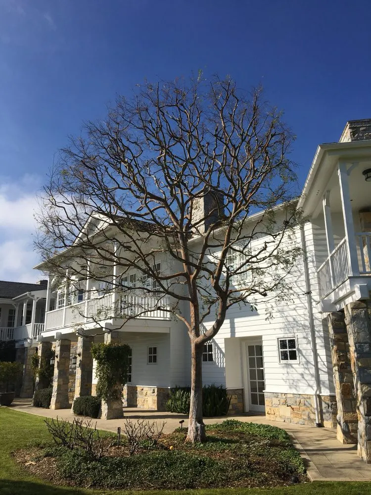 Expert lawn care service for residential properties in Gardena, CA by CG Tree And Landscape