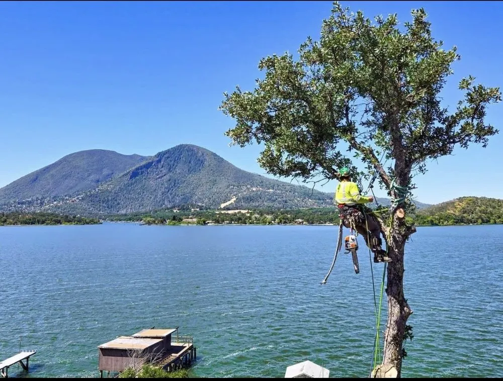 Top-rated lawn mowing service experts serving Lake County, CA - C&G Tree Pros