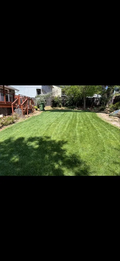 Professional yard maintenance in Lake County, CA by C&G Tree Pros