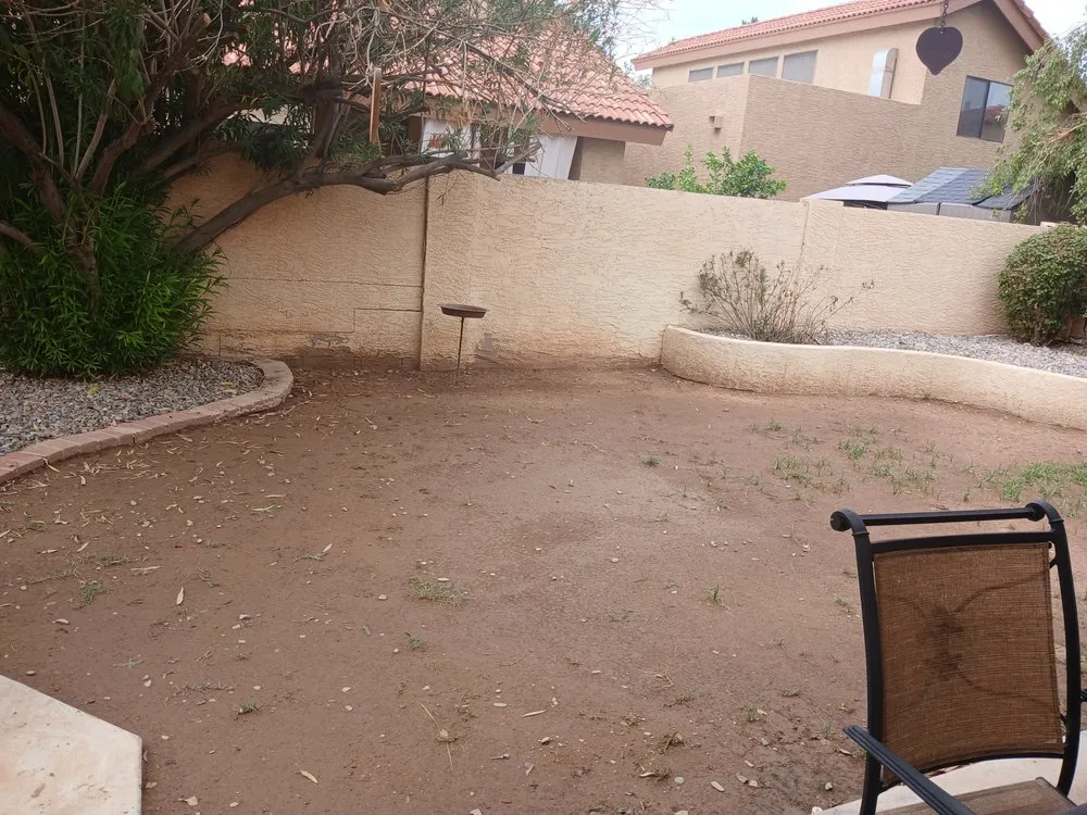 Professional yard maintenance in Phoenix, AZ by C&G Turf Pros