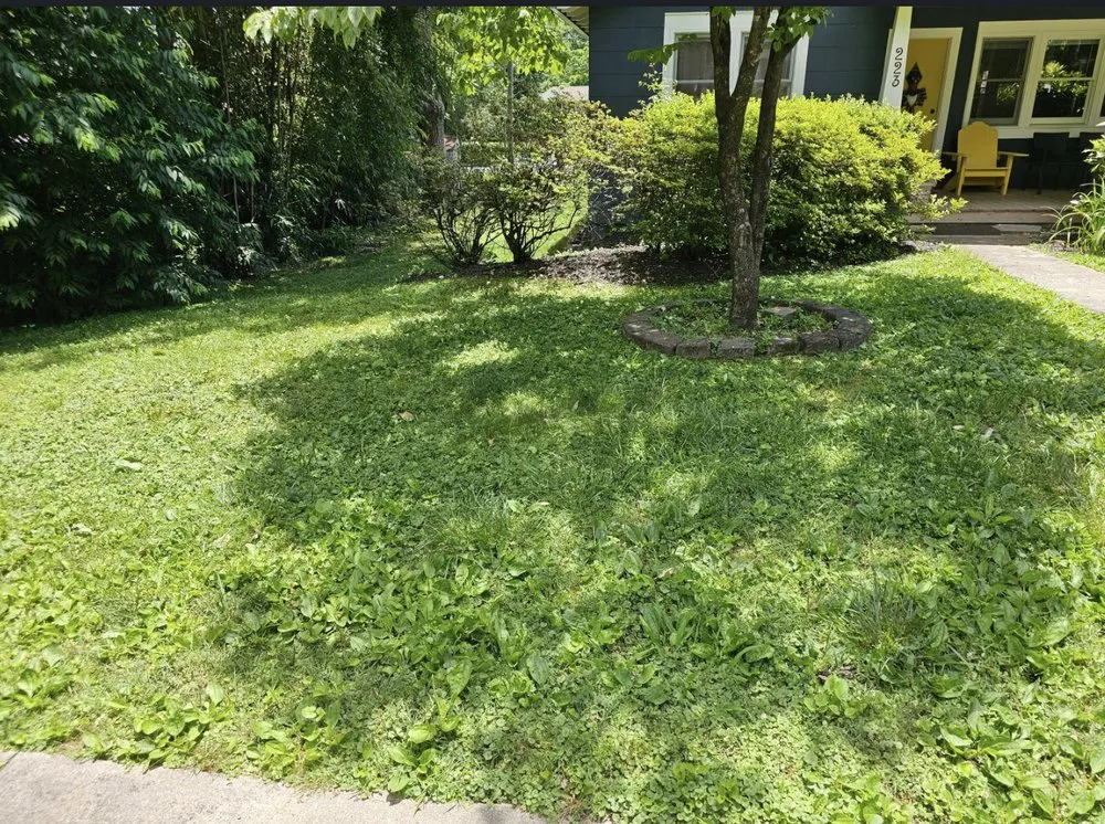 Expert landscaping services in Brevard, NC by C&G Twice As Nice Lawnservice