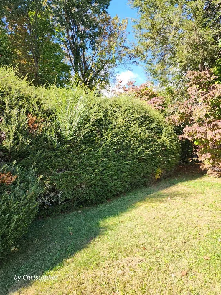 Reliable landscape installation in Brevard, NC by C&G Twice As Nice Lawnservice