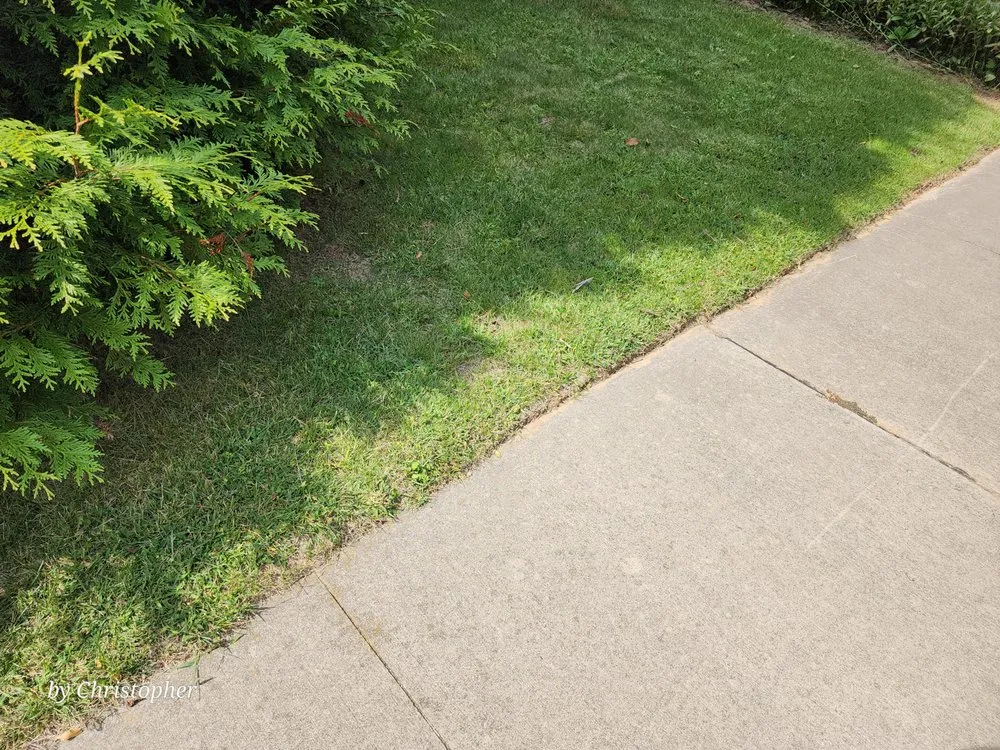 Professional lawn mowing service in Brevard, NC by C&G Twice As Nice Lawnservice