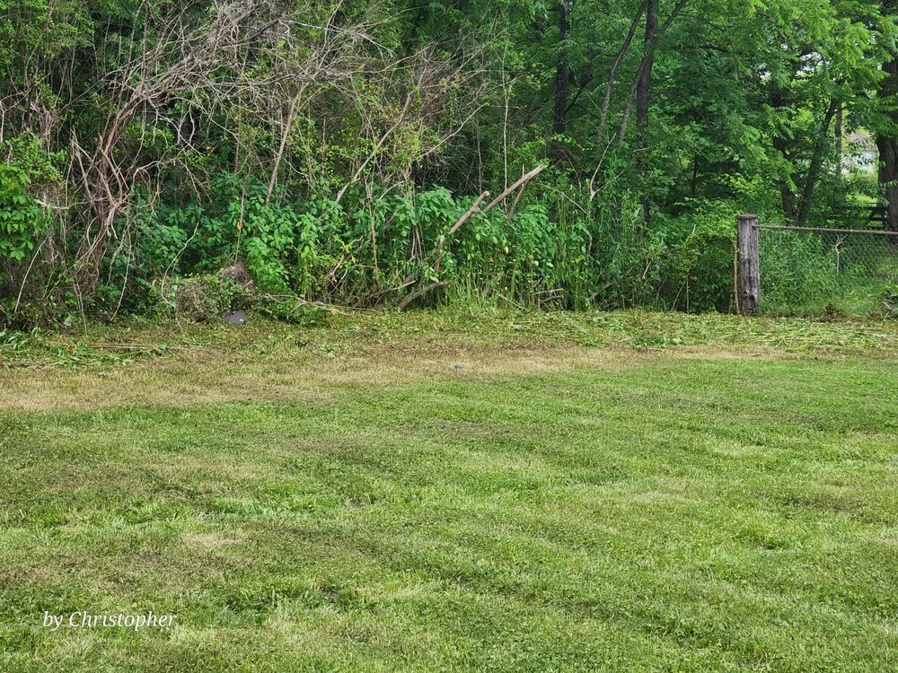 Professional yard cleanup service in Brevard, NC by C&G Twice As Nice Lawnservice