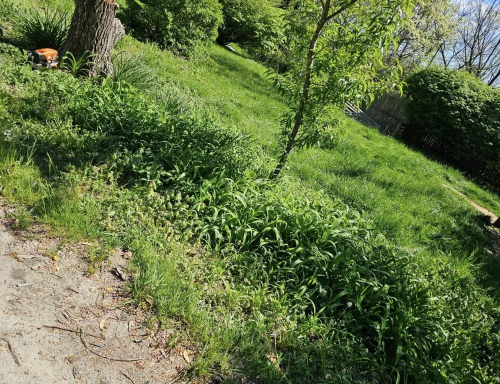 Top-rated garden landscaping for beautiful yards in Brevard, NC by C&G Twice As Nice Lawnservice