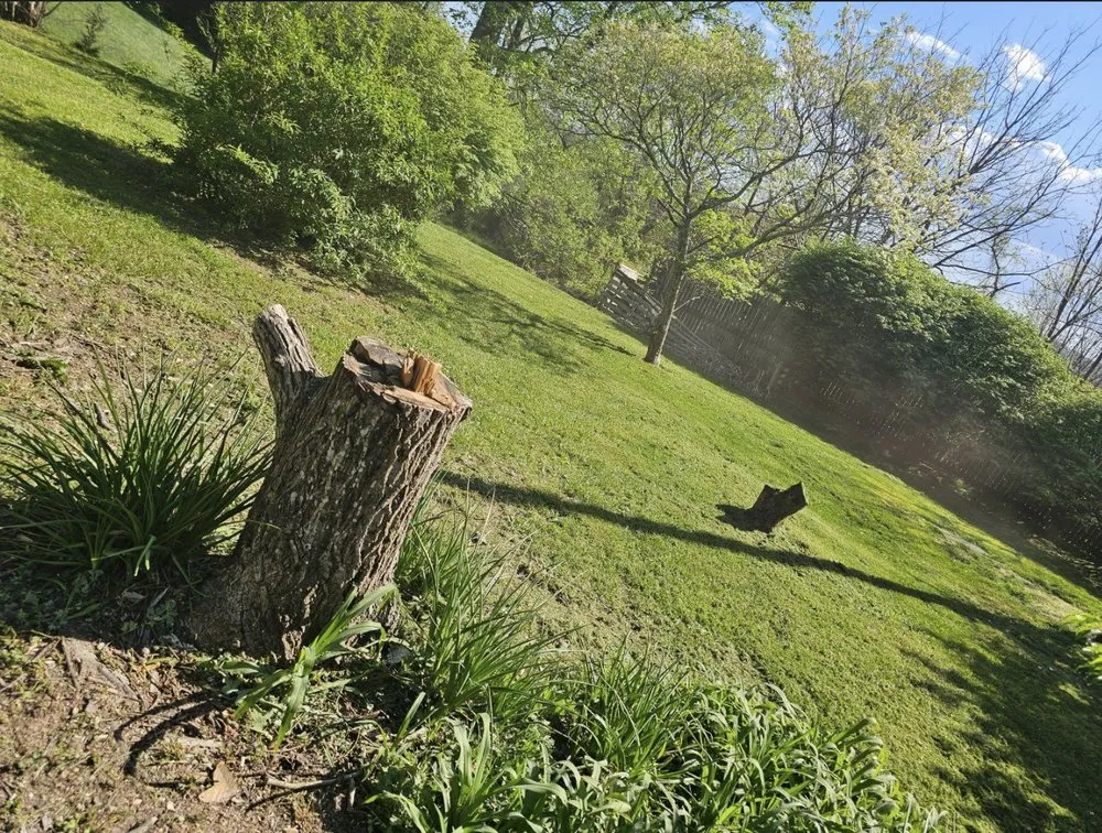 Local residential landscaping for homes across Brevard, NC - C&G Twice As Nice Lawnservice