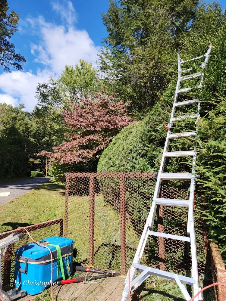Affordable lawn mowing service experts serving Brevard, NC - C&G Twice As Nice Lawnservice