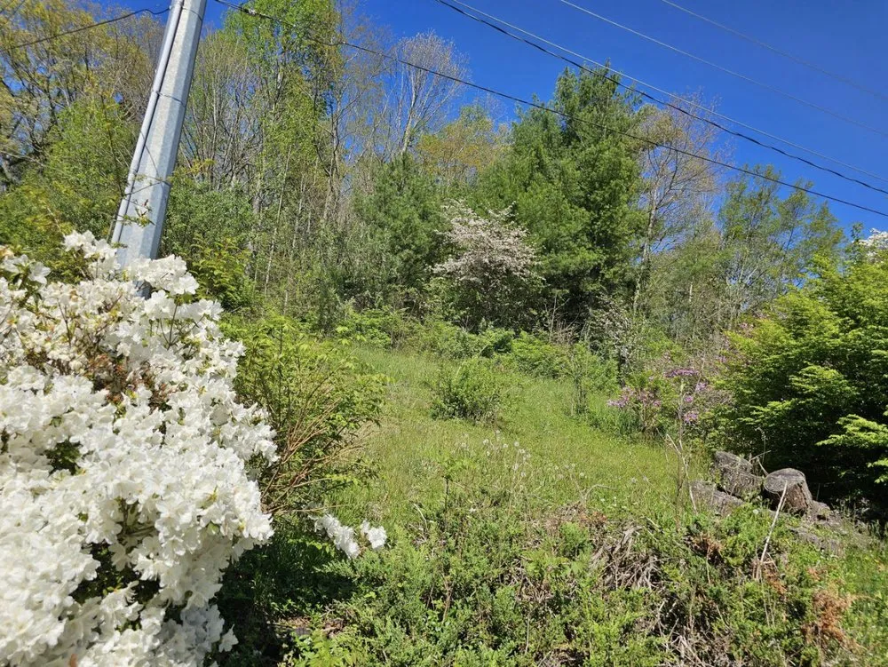 Reliable outdoor landscaping for homes in Brevard, NC by C&G Twice As Nice Lawnservice