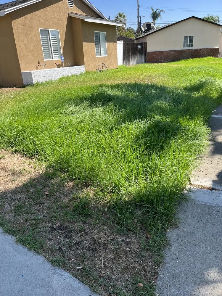Custom lawn care service in Pomona, CA - CG Yard Services