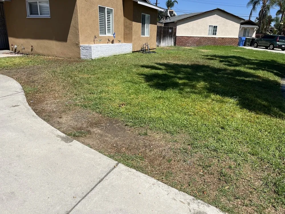 Affordable lawn care service in Pomona, CA by CG Yard Services
