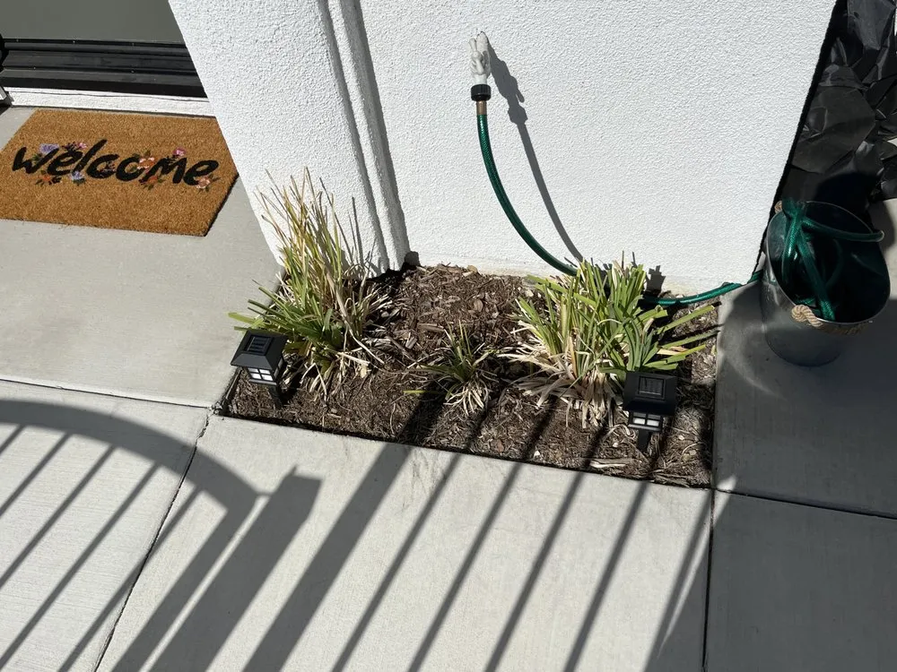 Reliable lawn mowing service in Pomona, CA - CG Yard Services