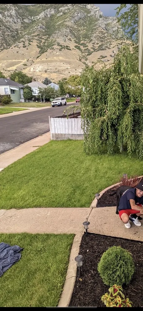 Professional outdoor landscaping in Pomona, CA - CG Yard Services