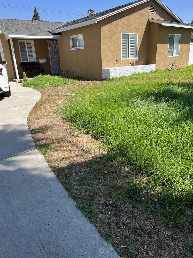 Top-rated lawn care service for outdoor upgrades across Pomona, CA - CG Yard Services