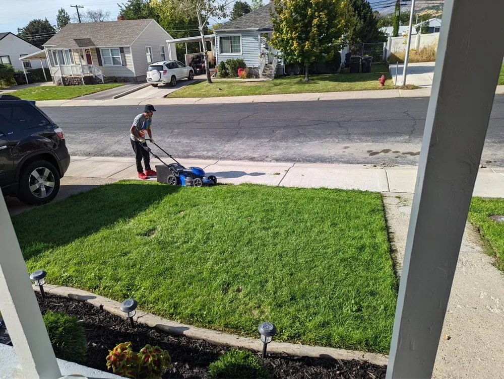 Professional landscape installation experts serving Pomona, CA - CG Yard Services