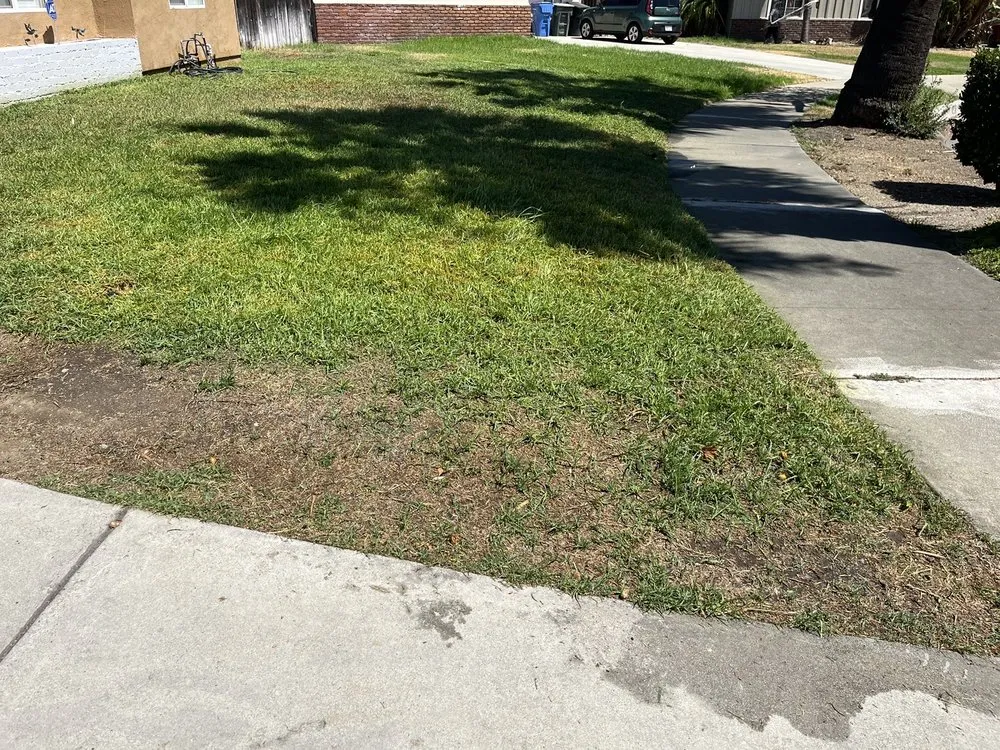 Custom landscape design experts serving Pomona, CA - CG Yard Services