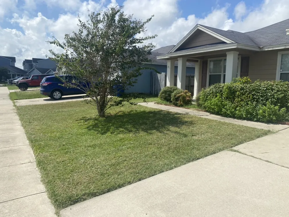 Reliable yard cleanup service in Corpus Christi, TX - CGB Lawncare Services