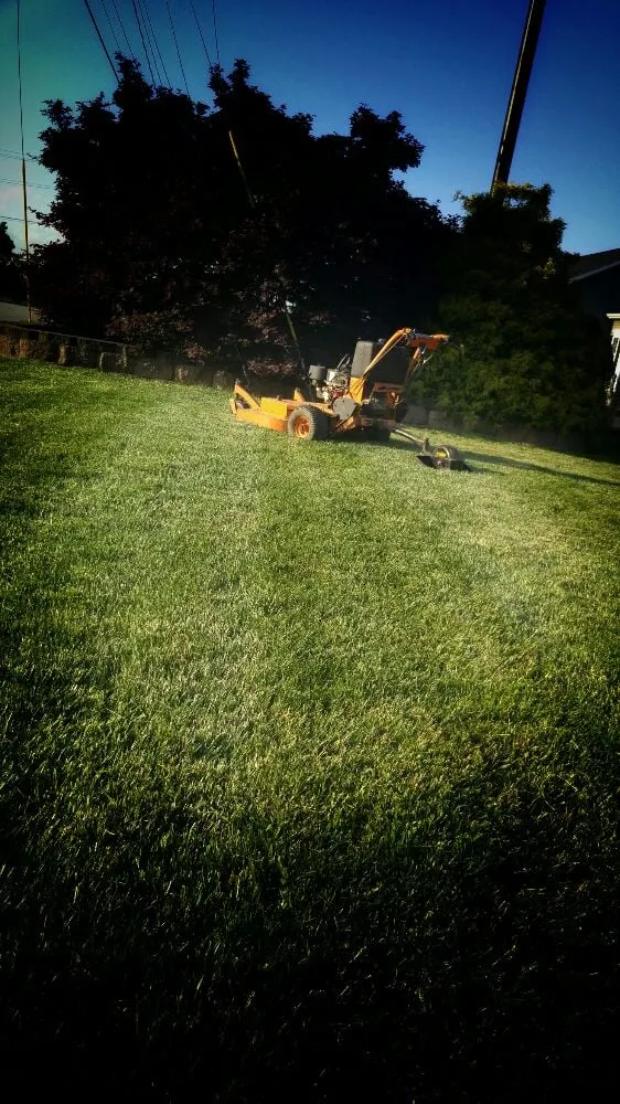 Affordable yard maintenance for outdoor upgrades in York, SC by CGC Lawn Care & Property Maintenance