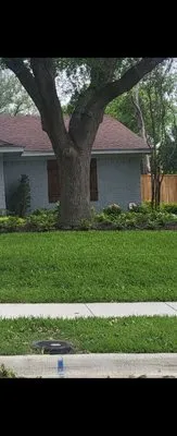 CGF LANDSCAPING SERVICES Logo