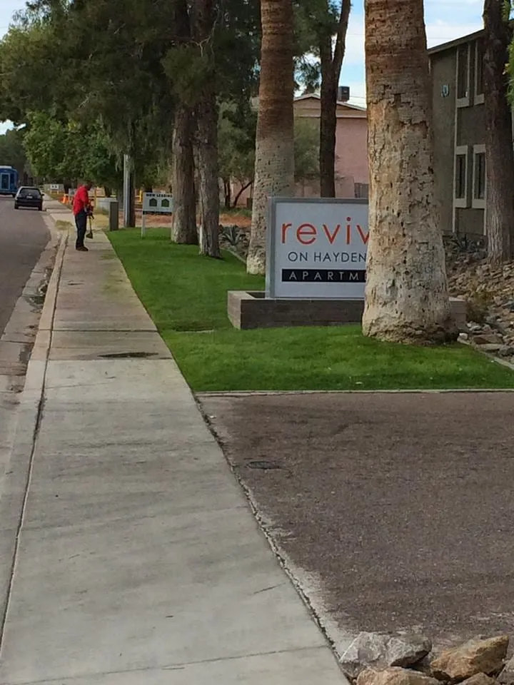 Professional yard cleanup service in Chandler, AZ - CGL Landscaping