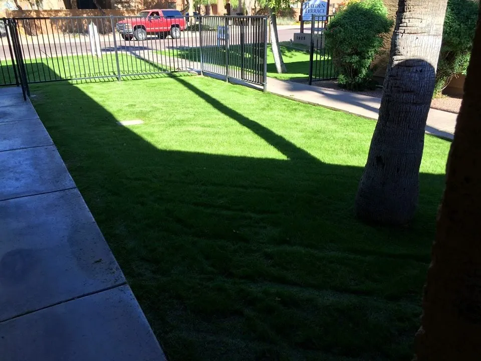 Affordable garden landscaping experts serving Chandler, AZ - CGL Landscaping