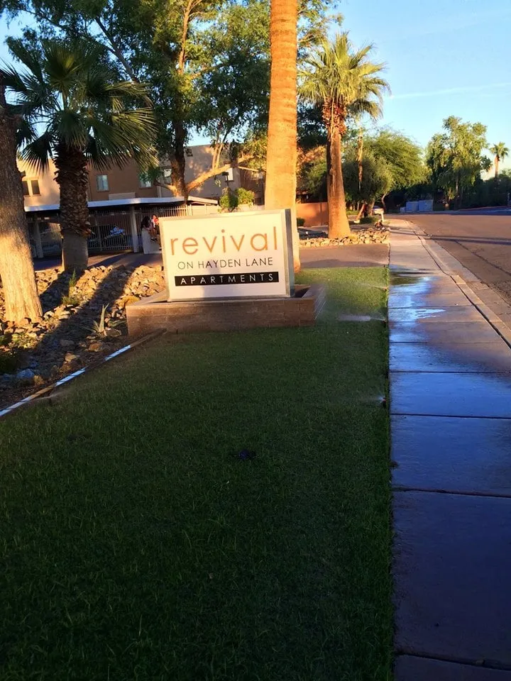 Professional landscape design for homes across Chandler, AZ - CGL Landscaping